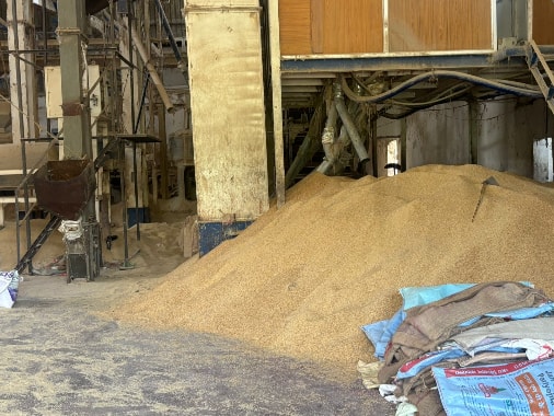 LongStraw Carbon Turns Odisha’s Rice Husk into Climate and Economic Opportunity