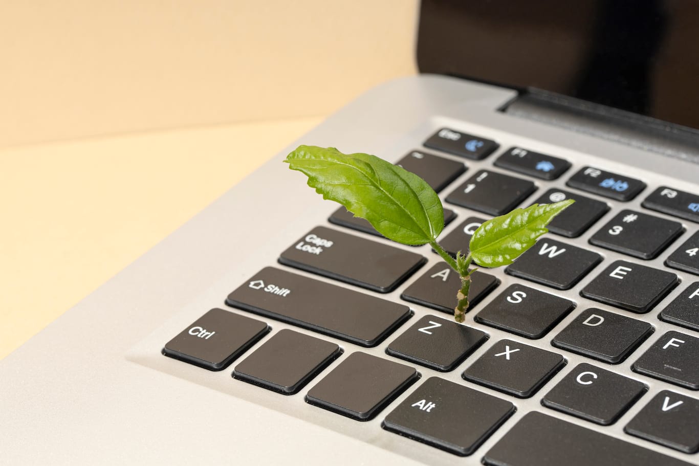"Marketing products and services to address sustainability concerns can be an easy win for brands provided they avoid greenwashing"