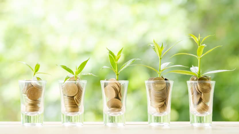 MMCA has been co-founded by Amit Khanna, founder of Amaya Ventures, and Binny Bansal, co-founder of Flipkart