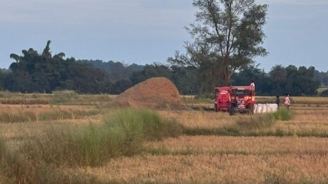 LongStraw Carbon Turns Odisha’s Rice Husk into Climate and Economic Opportunity