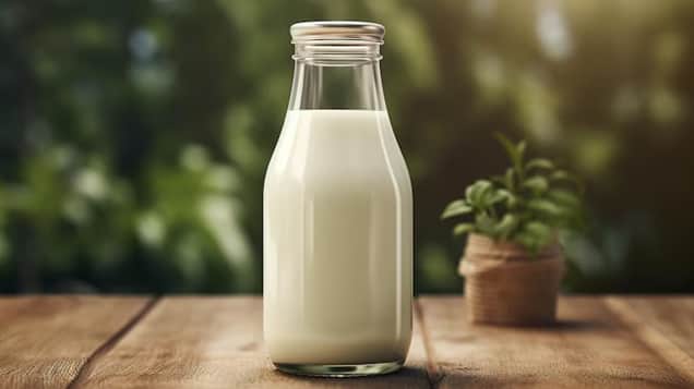 Dairy