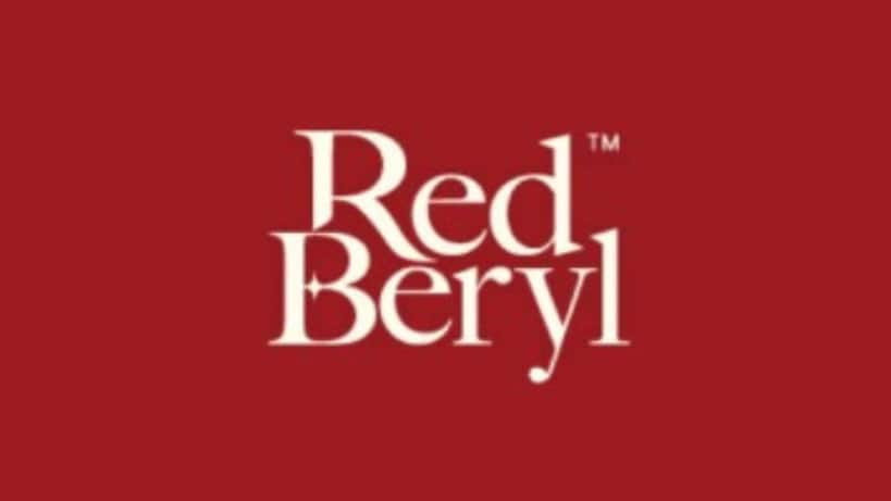Lifestyle management company RedBeryl has launched what it claims is India’s first AI-powered, fully integrated concierge platform for high-net-worth individuals (HNIs).