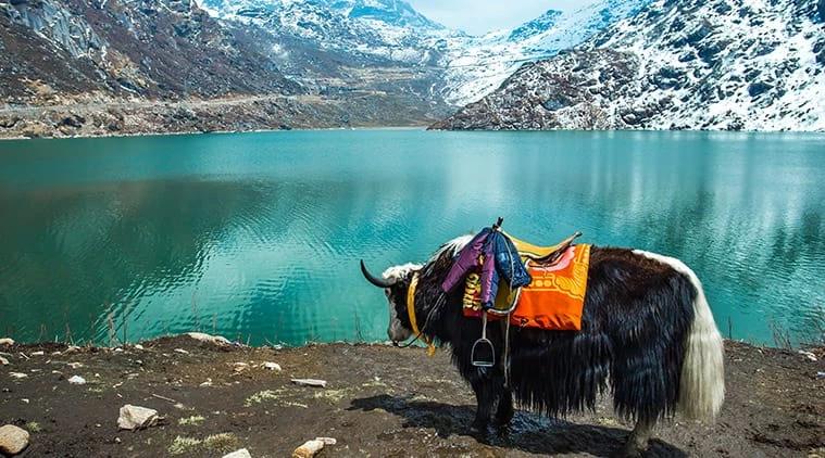 Festivals of Sikkim